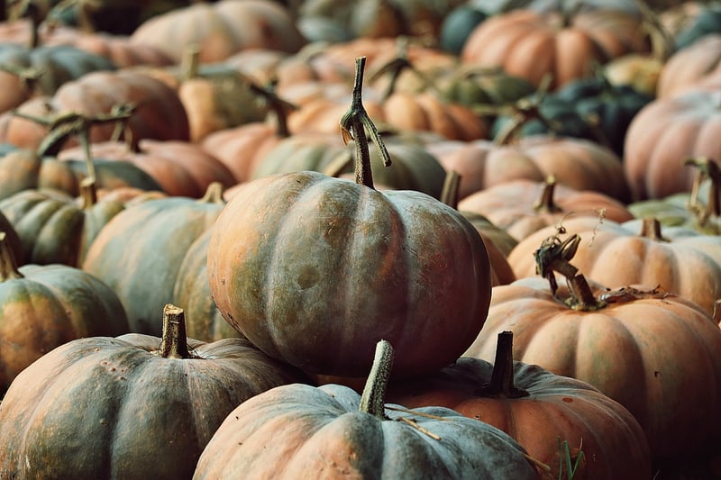 Magical Vegetable Patches